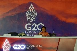 Sri Mulyani hapus tarif pungutan ekspor kelapa sawit