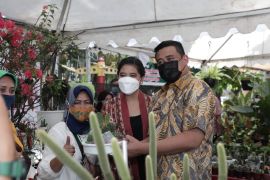 Dinas Pertanian dan Perikanan Medan gelar pekan tanaman hias