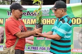 PBB sumbang bibit tanaman produktif di Tantom Angkola Tapsel