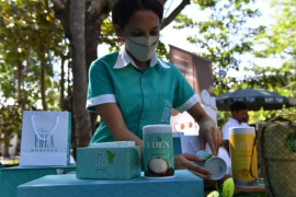 Artikel - Kelor "Mutiara Hijau" dari NTT yang mendunia lewat Sherpa G20