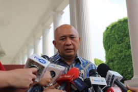 Pemerintah akan kembangkan minyak makan merah sebagai alternatif