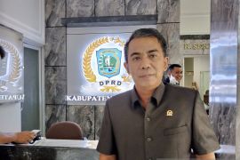 DPRD Belitung minta kebijakan penghapusan tenaga honorer ditunda