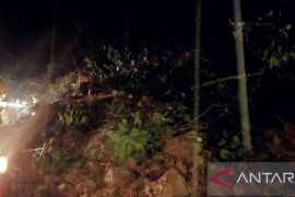 Tanah longsor terjadi di Halong Ambon, tidak ada korban jiwa