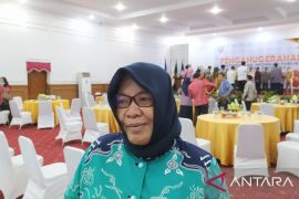 Pemprov Bengkulu kaji izin tambang besi PT Faminglevto