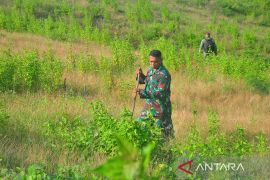 Pencarian serpihan pesawat tempur latih T-50i yang jatuh di Blora