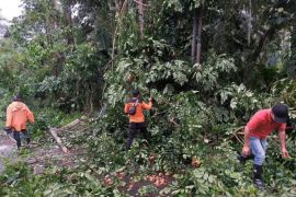 BPBD Minahasa Tenggara meminta warga waspadai cuaca ekstrem