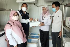 Gubernur minta satgas  segera distribusikan 43 ribu vaksin PMK