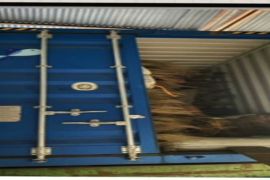 Ekspor lidi Sumut masih terus berlanjut