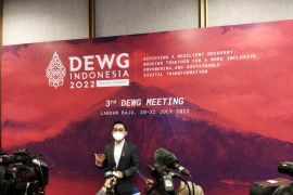 DEWG tekankan penguatan tata kelola data lintas negara