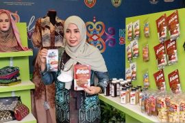 Ketua PKK Balangan kenalkan produk UMKM Balangan di Gernas BBI