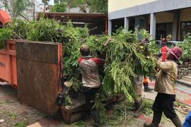 Legislator usulkan hugelkultur untuk mengolah sampah perantingan di Surabaya