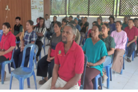 Disbun Kaltim lakukan perluasan kebun kakao 150 hektare