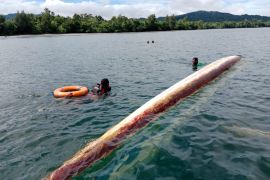 Satu warga tewas dalam kecelakaan perahu motor di Teluk Wondama