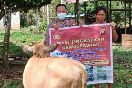 Polisi gencar imbau peternak antisipasi PMK di Melawi