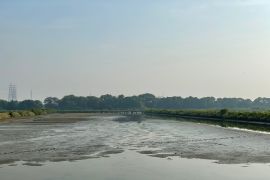 Petani tambak keluhkan pembangunan rumah pompa di Wonorejo Surabaya