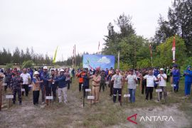 PT Timah bersama Ikebana Bangka tanam 5.000 bakau