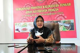 Cadangan beras Kalteng untuk penanganan bencana tersedia 66 ribu ton