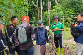 Tim Linhut Tabalong ground cek calon lokasi RHL