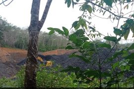 Jalan di Bintang Ara longsor, warga tolak angkutan batu bara