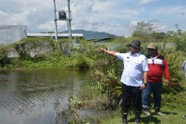 Dinas Perkebunan buka lahan untuk program Sulbar Merdeka Pangan