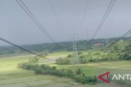 Berpotensi mengancam nyawa, PLN ingatkan masyarakat tak main layang-layang dekat jaringan listrik