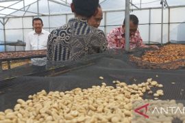 Rumah produksi Green Bean Maju Jaya Sipirok apresiasi PT PLN