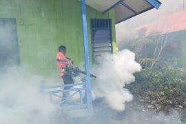 Dinkes Asmat akui sulit bersihkan jentik nyamuk penyebab DBD