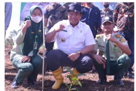 Pemkab Dairi dorong petani  lebih bergairah tanam kopi
