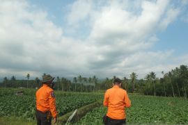 BPBD Jember pantau peningkatan aktivitas Gunung Raung