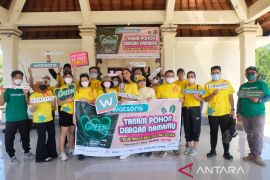 Watsons Indonesia tanam 1.000 Mangrove di Teluk Benoa Bali