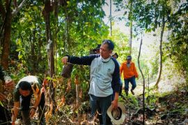 Pemantauan progres restorasi kawasan TANAGUPA