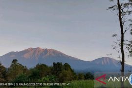 Badan GEologi: Status Gunung Raung di Jatim naik jadi Waspada
