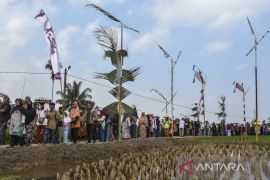 Festival Kolecer dan Beubeutian