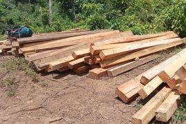 KPHP Mukomuko gelar patroli cegah karhutla