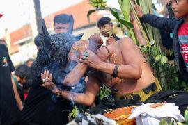 Warga berubah jadi "kerbau" saat ritual Keboan Aliyan Banyuwangi