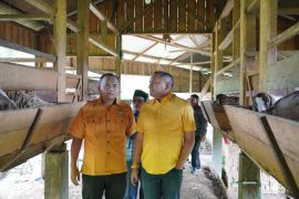 Pemkab Pakpak Bharat apresiasi peternakan domba di Desa Simberuna