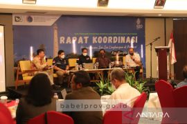 Kemenko Marves tetapkan Belitung sebagai Integrated Area Development