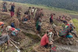 BPBD Papua rekomendasikan KLB di kampung yang dilanda embun beku