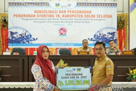 Solok Selatan telah miliki tim percepatan penurunan stunting
