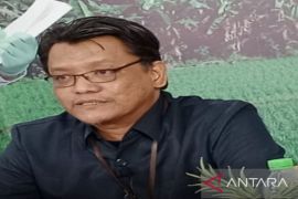 Nilai ekspor Sumut terus meningkat