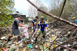 Komunitas lingkungan dan PLN Maluku bersihkan lahan mangrove Poka Ambon