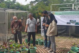 Gubernur Sumsel ajak semua pihak bimbing petani sukseskan program GSMP