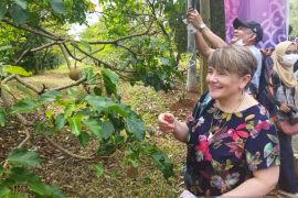 Kebijakan tarif Rp0 sampai ketakjuban delegasi G20, sepekan