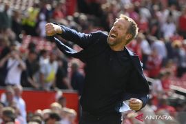 Graham Potter minta maaf kepada suporter Brighton