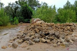 Erosi parah di Pesisir pantai Penajam Paser Utara butuh penanganan serius