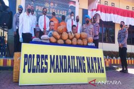 Penyeludupan ganja 14,5 Kg lewat ekspedisi digagalkan Polres Madina