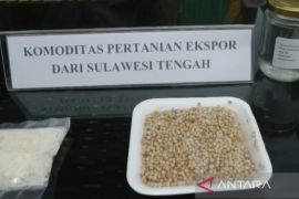 Januari - Juli 2022 Sulteng ekspor lada biji  senilai Rp57,4 miliar