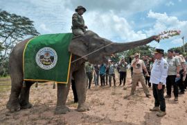 Peresmian Pusat Informasi Konservasi Gajah Tebo