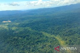 UNDP: Indonesia terdepan manfaatkan dana terpadu untuk capai SDGs