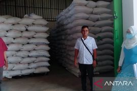 Pemasok benih padi Subang siap tambah pasokan ke Jatim dan Jateng